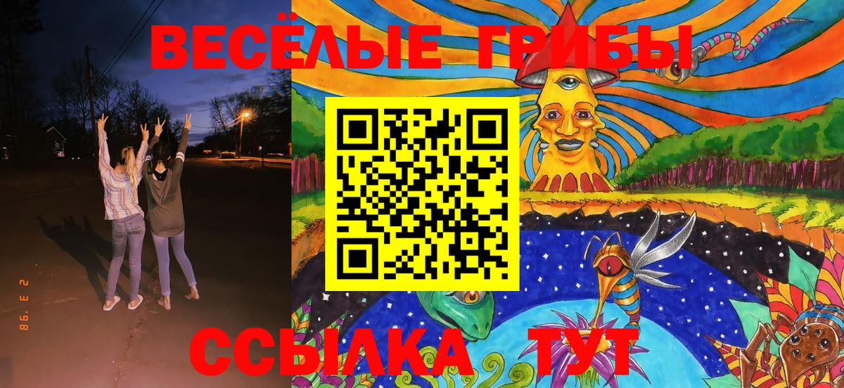 Псилоцибиновые грибы Cubensis Тула