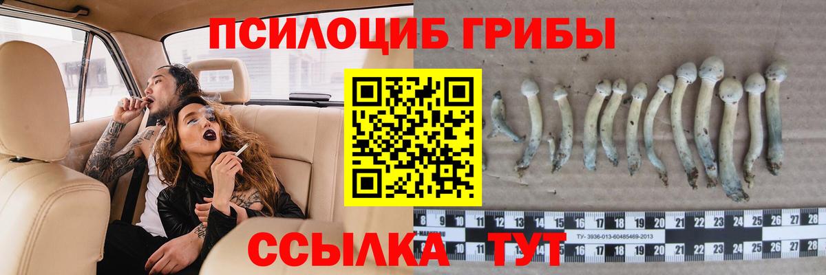 Тула  Псилоцибиновые грибы ЛСД  Вход с VPN 